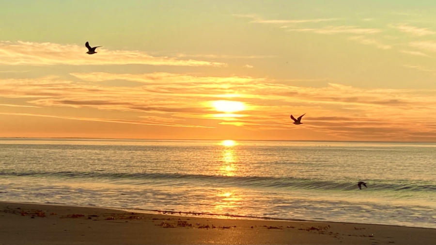 0 Bedroom Property for Sale in Atlantic Sands Private Estate Western Cape